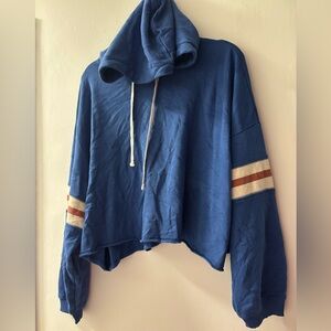 Blue American Eagle Hoodie Striped Sleeves